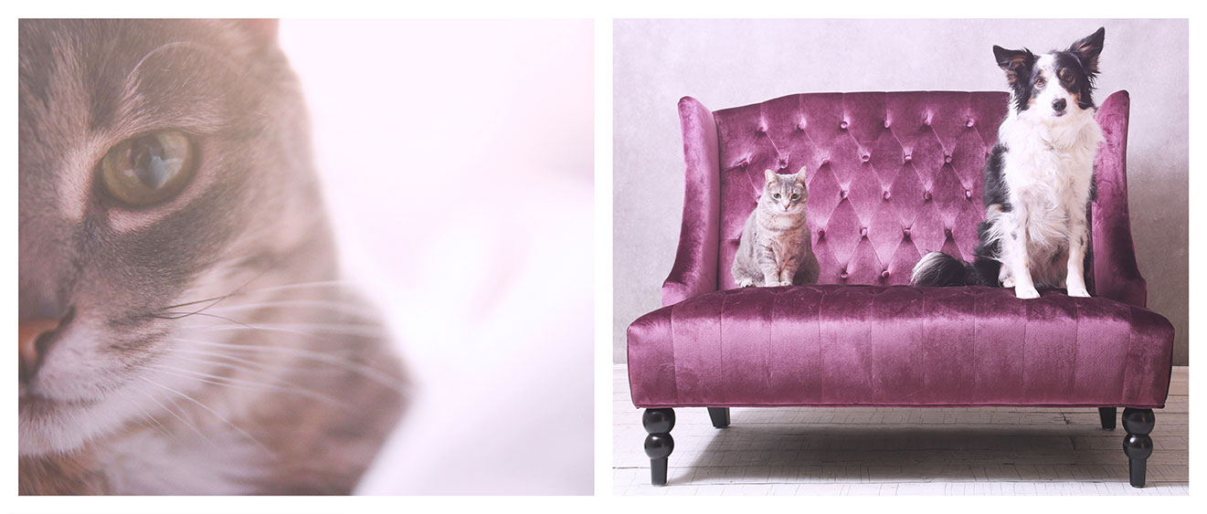SPAH HomePage Slider 1