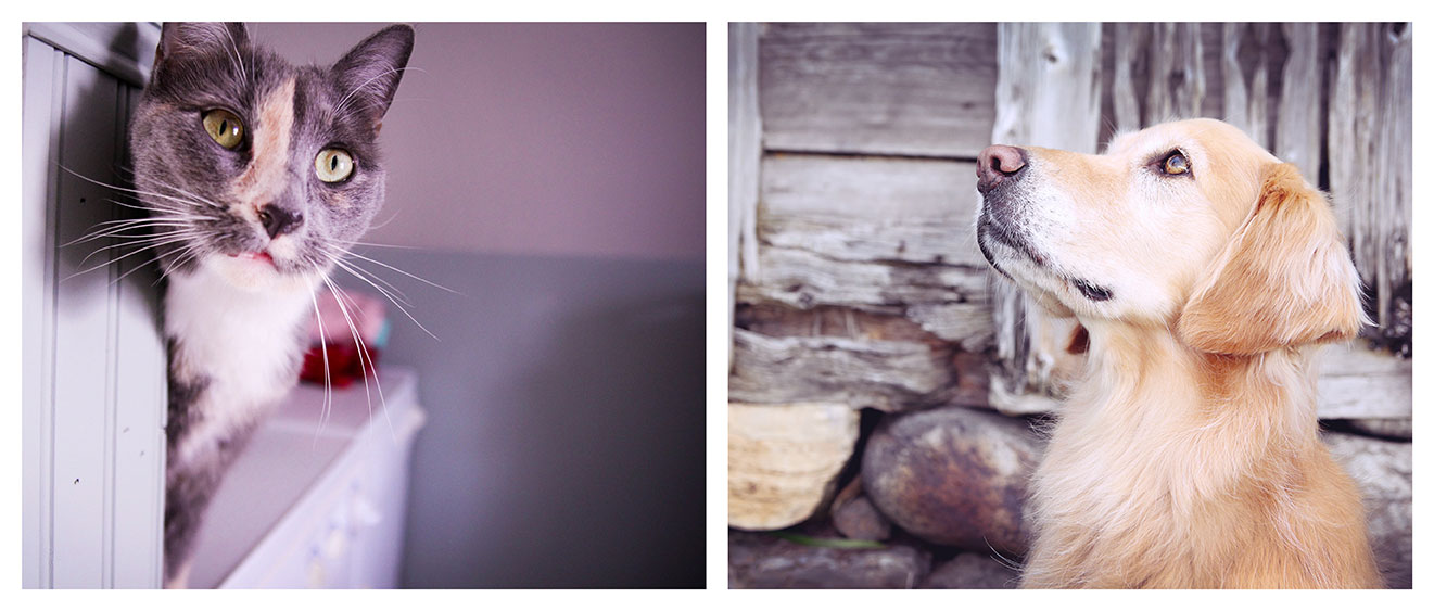 SPAH HomePage Slider 2