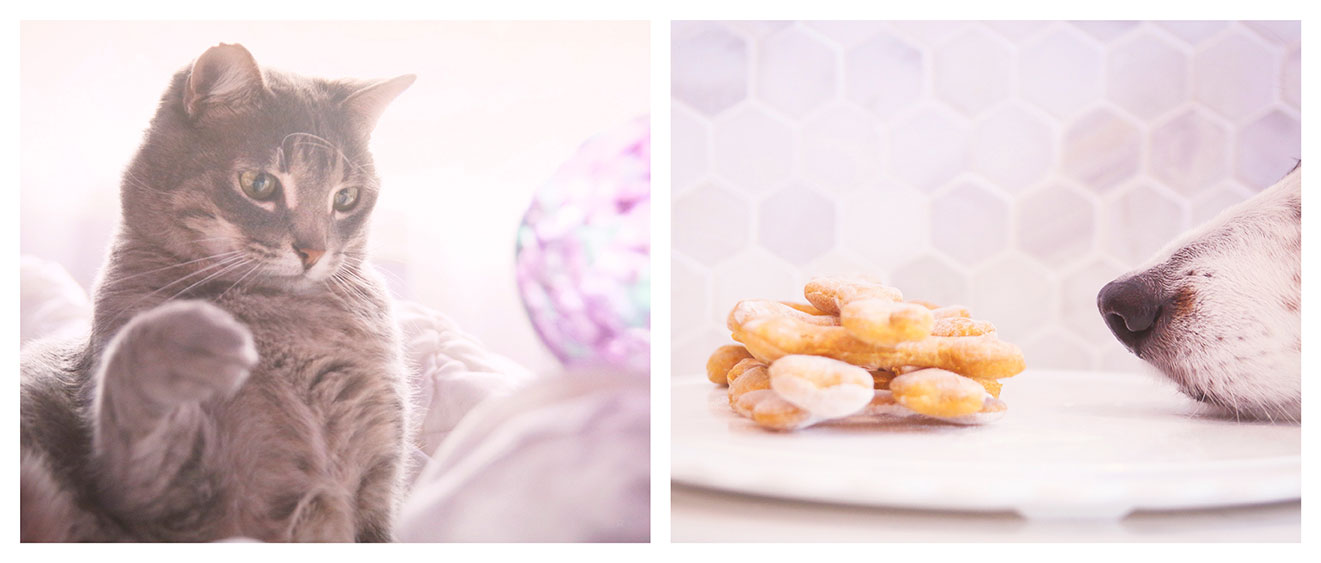 SPAH Homepage Slider 4