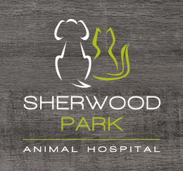 SPAH Wood Logo SPAH Wood Logo